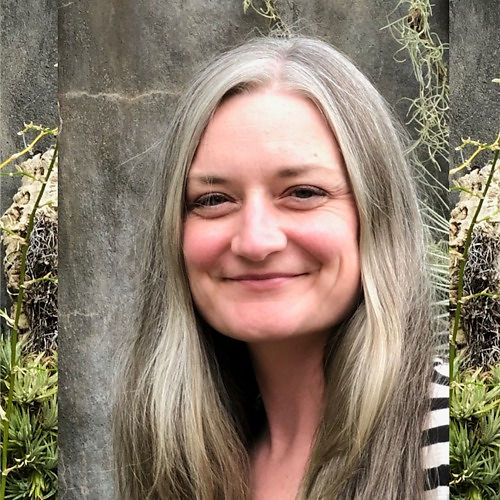 Allison Koos Fox, LPC, PMH-C, EMDRIA Certified